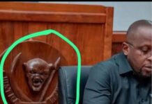 Cette photo de l’emblème « Léopard » en mauvais dessin est du bureau de l’assemblée provinciale de Kwilu et non du cabinet de Jacquemain Shabani